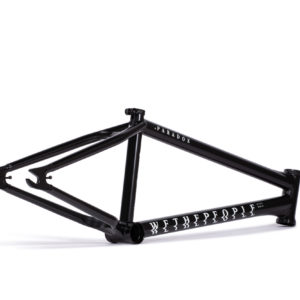 Cuadro Wethepeople Paradox